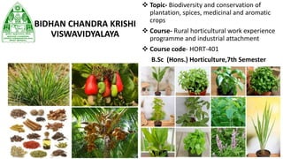BIDHAN CHANDRA KRISHI
VISWAVIDYALAYA
 Topic- Biodiversity and conservation of
plantation, spices, medicinal and aromatic
crops
 Course- Rural horticultural work experience
programme and industrial attachment
 Course code- HORT-401
B.Sc (Hons.) Horticulture,7th Semester
 