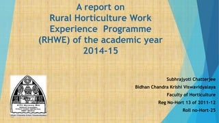 A report on
Rural Horticulture Work
Experience Programme
(RHWE) of the academic year
2014-15
Subhrajyoti Chatterjee
Bidhan Chandra Krishi Viswavidyalaya
Faculty of Horticulture
Reg No-Hort 13 of 2011-12
Roll no-Hort-25
 