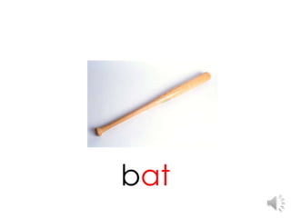 bat
 