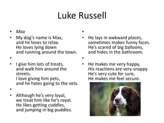 Luke Russell
• Max
• My dog’s name is Max,
and he loves to relax.
He loves lying down
and running around the town.
•
• I give him lots of treats,
and walk him around the
streets.
I love giving him pets,
and he hates going to the vets.
•
• Although he’s very loyal,
we treat him like he’s royal.
He likes getting cuddles,
and jumping in big puddles.
•
• He lays in awkward places,
sometimes makes funny faces.
He’s scared of big balloons,
and hides in the bathroom.
•
• He makes me very happy,
His reactions are very snappy.
He's very cute for sure,
He makes me feel secure.
 
