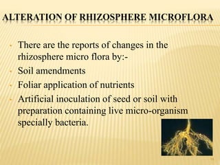 ALTERATION OF RHIZOSPHERE MICROFLORA
• There are the reports of changes in the
rhizosphere micro flora by:-
• Soil amendments
• Foliar application of nutrients
• Artificial inoculation of seed or soil with
preparation containing live micro-organism
specially bacteria.
14
 