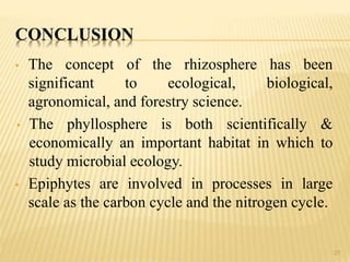 CONCLUSION
• The concept of the rhizosphere has been
significant to ecological, biological,
agronomical, and forestry science.
• The phyllosphere is both scientifically &
economically an important habitat in which to
study microbial ecology.
• Epiphytes are involved in processes in large
scale as the carbon cycle and the nitrogen cycle.
21
 