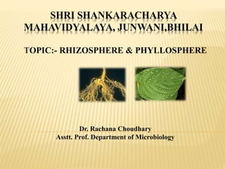 SHRI SHANKARACHARYA
MAHAVIDYALAYA, JUNWANI,BHILAI
TOPIC:- RHIZOSPHERE & PHYLLOSPHERE
Dr. Rachana Choudhary
Asstt. Prof. Department of Microbiology
 