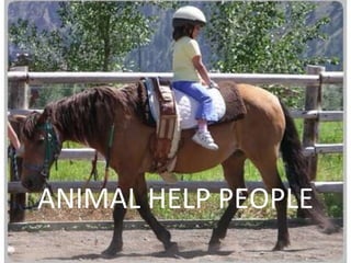 ANIMAL HELP PEOPLE
 