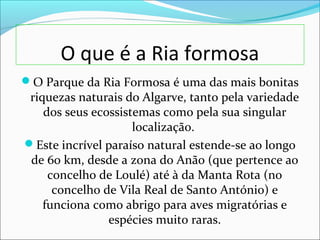 O que é a Ria formosa
O Parque da Ria Formosa é uma das mais bonitas
riquezas naturais do Algarve, tanto pela variedade
dos seus ecossistemas como pela sua singular
localização.
Este incrível paraíso natural estende-se ao longo
de 60 km, desde a zona do Anão (que pertence ao
concelho de Loulé) até à da Manta Rota (no
concelho de Vila Real de Santo António) e
funciona como abrigo para aves migratórias e
espécies muito raras.
 