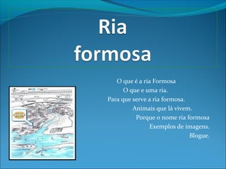 O que é a ria Formosa
O que e uma ria.
Para que serve a ria formosa.
Animais que lá vivem.
Porque o nome ria formosa
Exemplos de imagens.
Blogue.
 