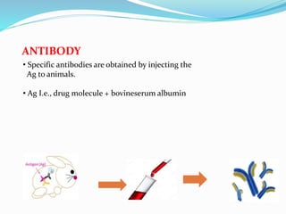 ANTIBODY
• Specific antibodies are obtained by injecting the
Ag to animals.
• Ag I.e., drug molecule + bovineserum albumin
 