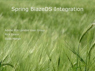 Spring BlazeDS Integration


Adobe RIA London User Group
Rick Evans
Skills Matter
 