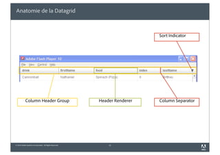 Anatomie de la Datagrid



                                                                            Sort Indicator




            Column Header Group                           Header Renderer   Column Separator




© 2010 Adobe Systems Incorporated. All Rights Reserved.       11
 