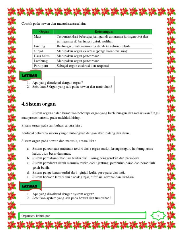 Kumpulan Dari Beberapa Jaringan Untuk Melakukan Fungsi Kumpulan Dari Beberapa Jaringan Untuk Melakukan Fungsi