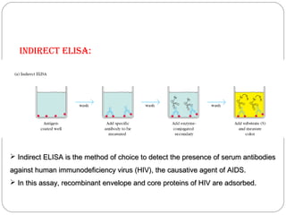  Indirect ELISA is the method of choice to detect the presence of serum antibodiesIndirect ELISA is the method of choice to detect the presence of serum antibodies
against human immunodeficiency virus (HIV), the causative agent of AIDS.against human immunodeficiency virus (HIV), the causative agent of AIDS.
 In this assay, recombinant envelope and core proteins of HIV are adsorbed.In this assay, recombinant envelope and core proteins of HIV are adsorbed.
IndIrecT eLIsA:
 