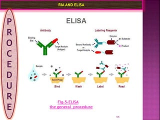 Elisa Rial Ria and elisa final ppt | PPTX