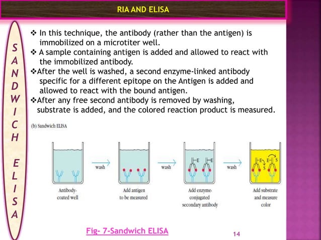 Ria and elisa final ppt | PPTX | Chemistry | Science