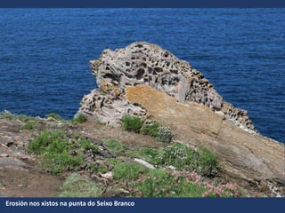 Erosión nos xistos na punta do Seixo Branco
 
