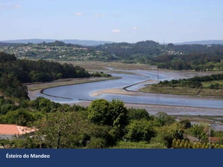 Ésteiro do Mandeo
 