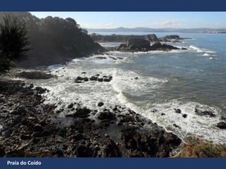 Praia do Coído
 