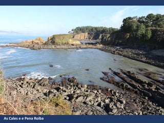 As Cales e e Pena Roiba
 