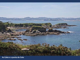 As Cales e a punta do Coto
 
