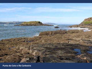 Punta do Coto e illa Carboeira
 