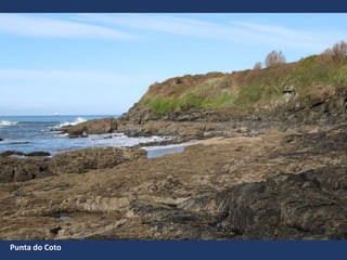 Punta do Coto
 