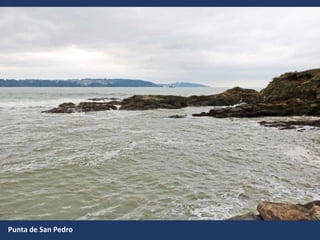Punta de San Pedro
 