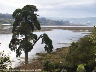 Esteiro do mandeo desde o pazo de Mariñán
 