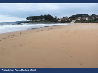Praia de San Pedro (Perbes-Miño)
 