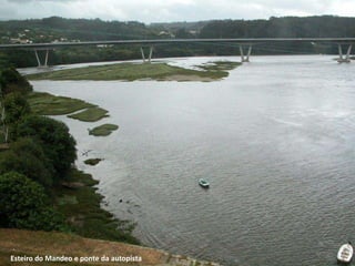Esteiro do Mandeo e ponte da autopista
 