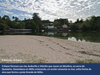 Esteiro do río Baxoi
O Baxoi fórmase cos ríos Anduriña e Vilariño que nacen en Monfero, na serra do
Queixeiro. Desemboca en Miño orixinando, en acción conxunta co mar, unha frecha de
area que forma a praia Grande de Miño.
 