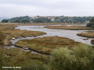 Esteiro do río Baxoi
 