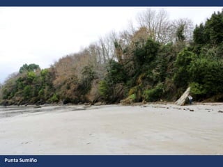 Punta Sumiño
 