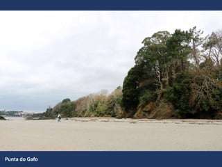 Punta do Gafo
 