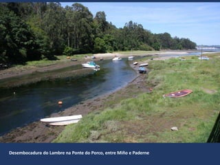Desembocadura do Lambre na Ponte do Porco, entre Miño e Paderne
 