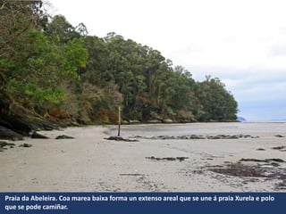 Praia da Abeleira. Coa marea baixa forma un extenso areal que se une á praia Xurela e polo
que se pode camiñar.
 