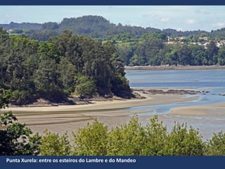 Punta Xurela: entre os esteiros do Lambre e do Mandeo
 