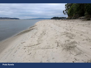 Praia Xurela
 