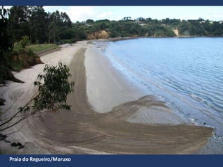 Praia do Regueiro/Moruxo
 