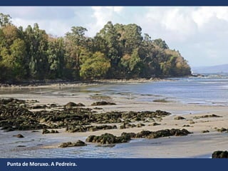 Punta de Moruxo. A Pedreira.
 