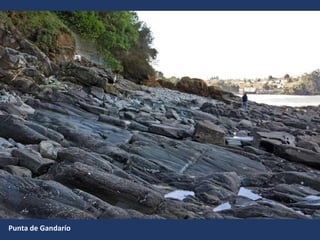 Punta de Gandarío
 