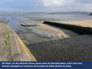 Río Maior. Un dos afluentes forma, pouco antes da desembocadura, unha unha zona
húmida catalogada no Inventario de humidais de Galiza (Brañas de Sada).
 
