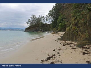 Praia e punta Arnela
 