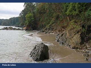Praia de Lobos
 