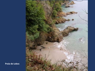 Praia de Lobos
 