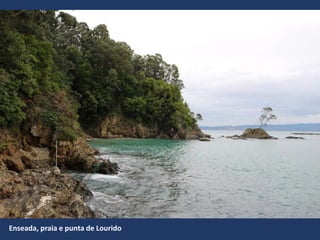 Enseada, praia e punta de Lourido
 