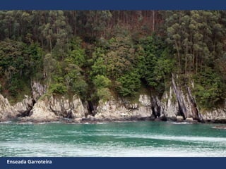 Enseada Garroteira
 