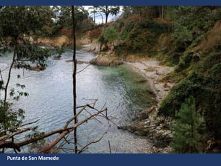 Punta de San Mamede
 