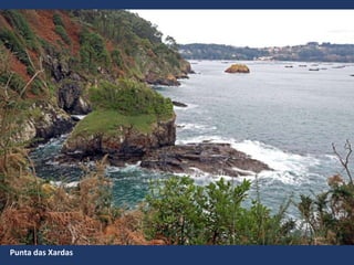 Punta das Xardas
 