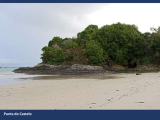 Punta do Castelo
 