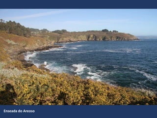 Enseada do Areoso
 