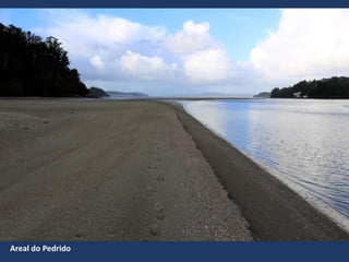 Areal do Pedrido
 
